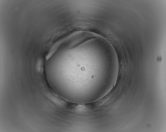 X0000091950562200709201325