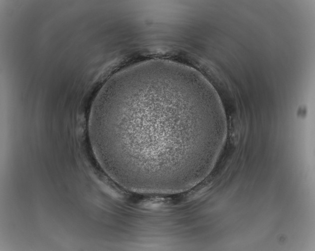 X0000091950563200709201325