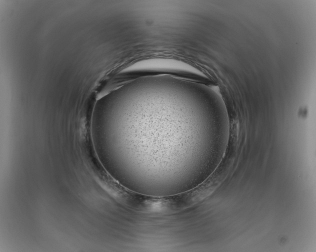 X0000091950564200709201325