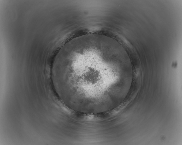 X0000091950565200709201325