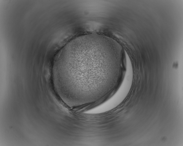 X0000091950566200709201325