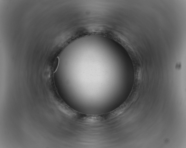 X0000091950567200709201325