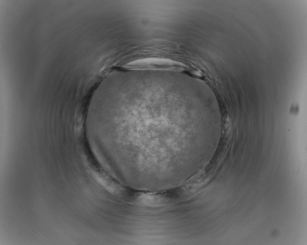 X0000091950568200709201325