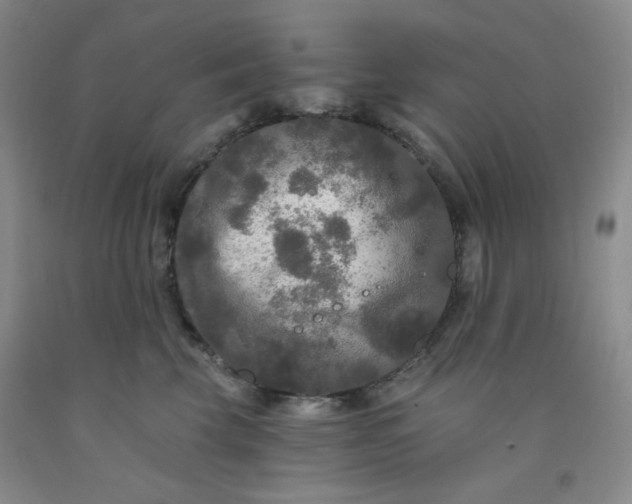 X0000091950569200709201325