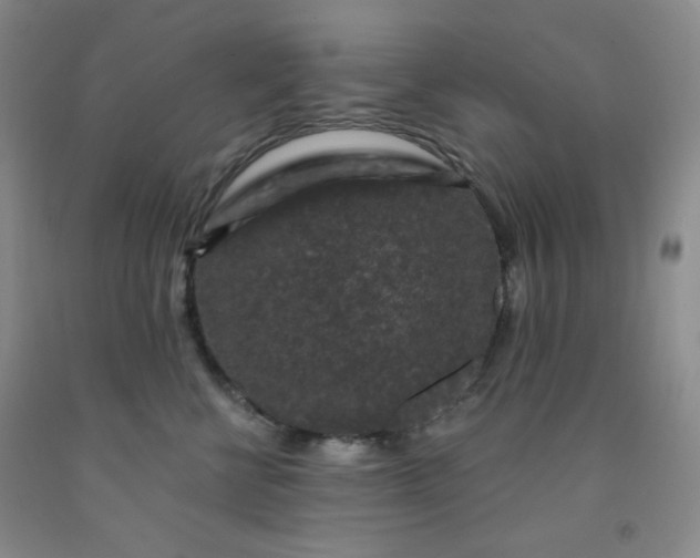 X0000091950570200709201325