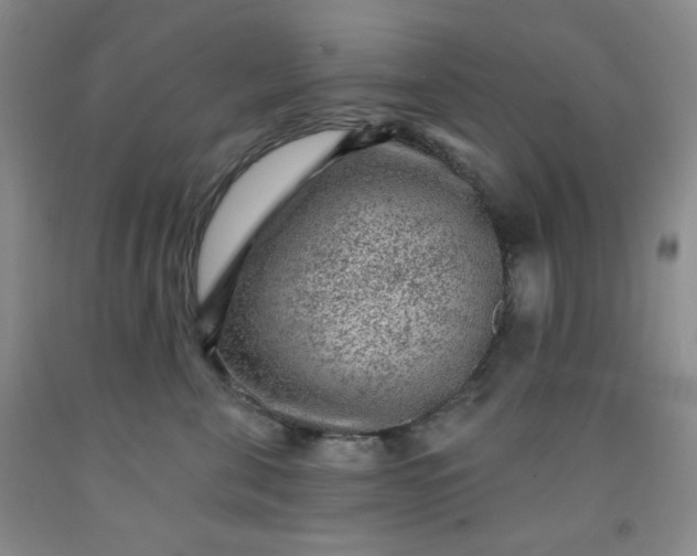 X0000091950571200709201325