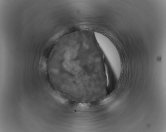 X0000091950573200709201325