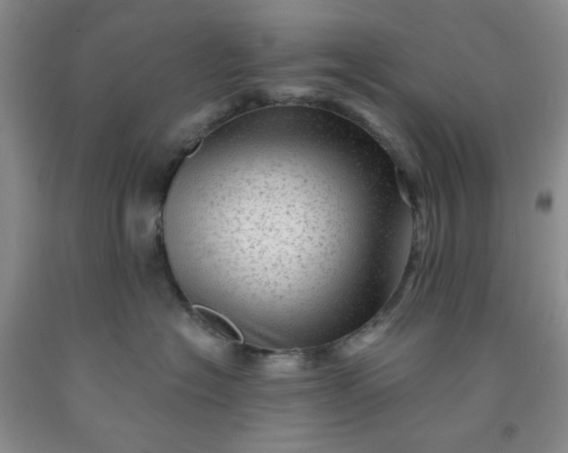 X0000091950574200709201325