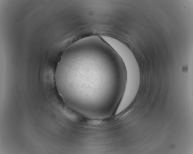 X0000091950575200709201325