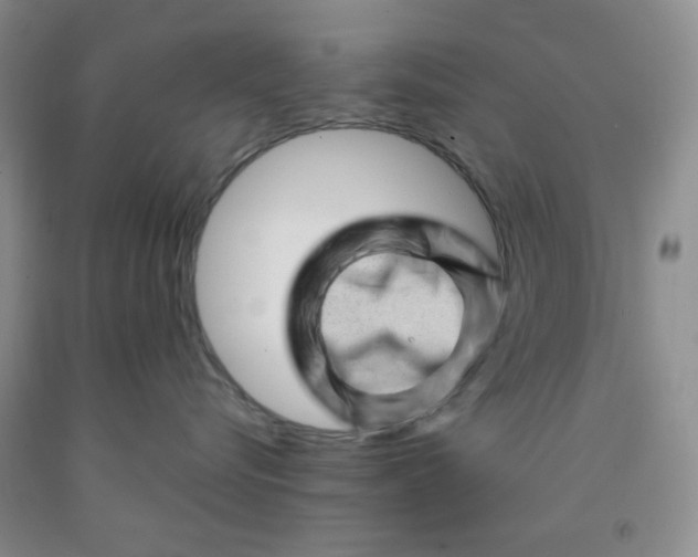 X0000091950576200709201325