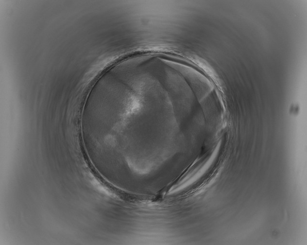 X0000091950577200709201324