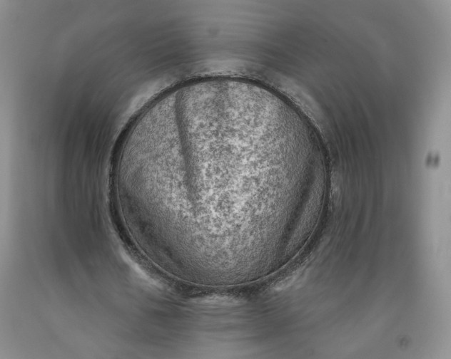 X0000091950578200709201324