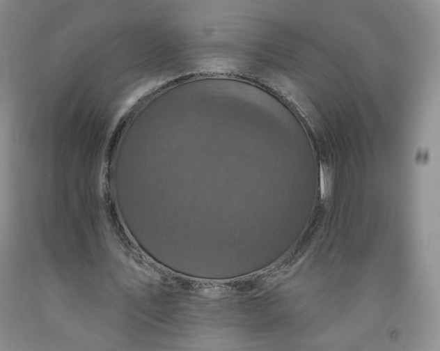 X0000091950579200709201324