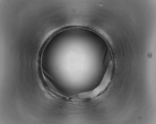 X0000091950580200709201324