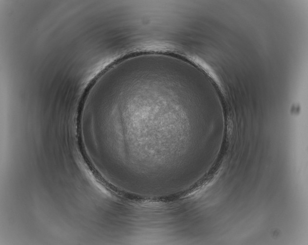 X0000091950581200709201324