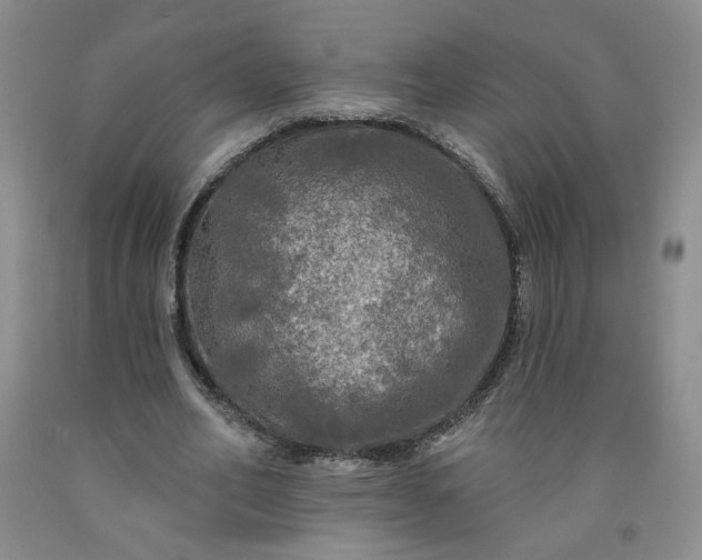 X0000091950582200709201324