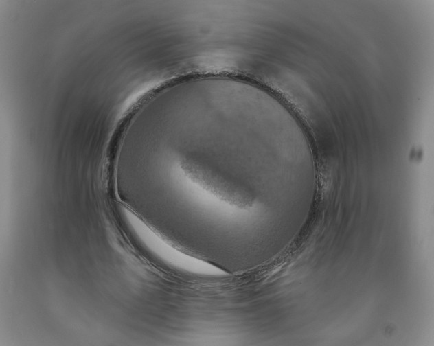 X0000091950583200709201324