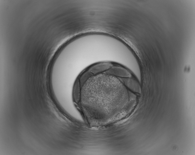 X0000091950584200709201324