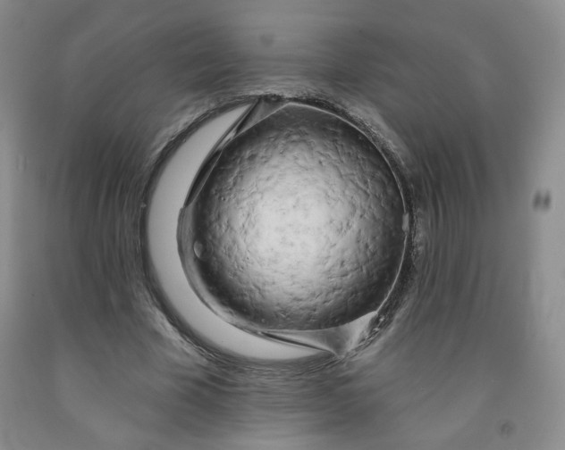 X0000091950585200709201324