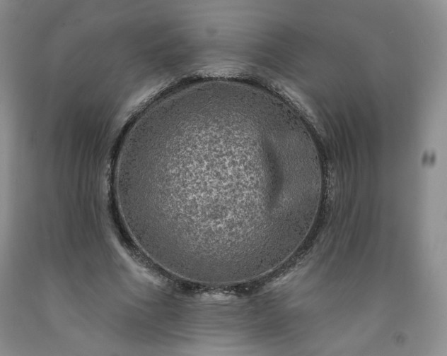 X0000091950586200709201324