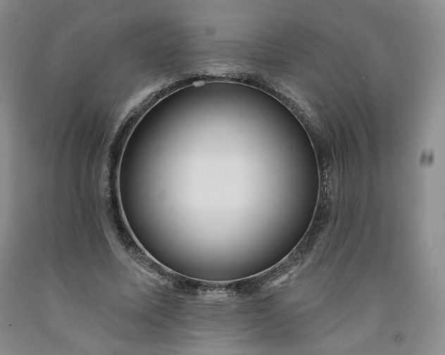 X0000091950587200709201324