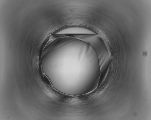 X0000091950589200709201324