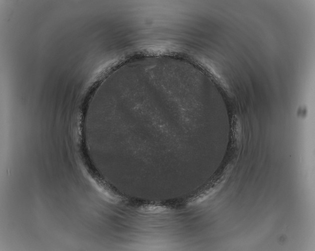 X0000091950590200709201324