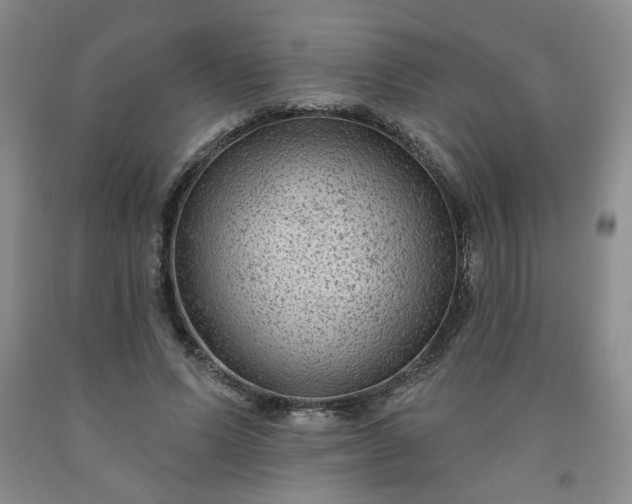 X0000091950591200709201324