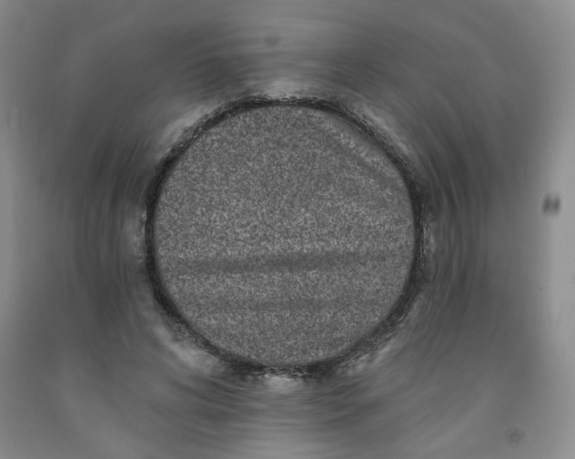 X0000091950592200709201324