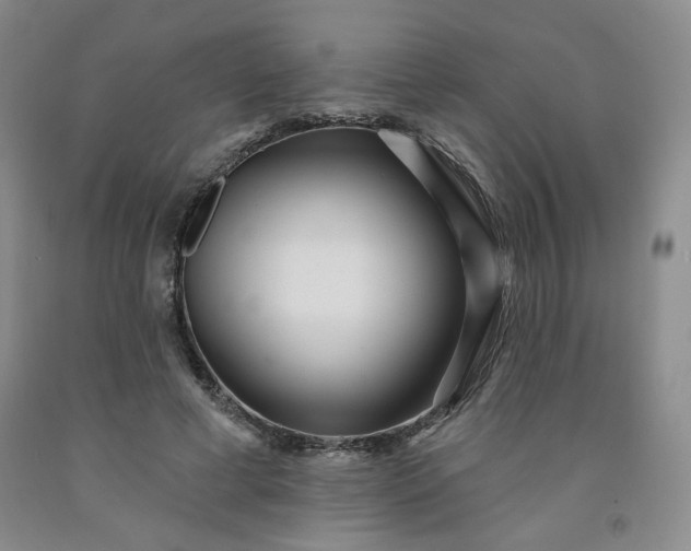 X0000091950593200709201324