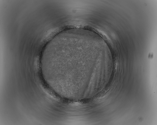 X0000091950594200709201324