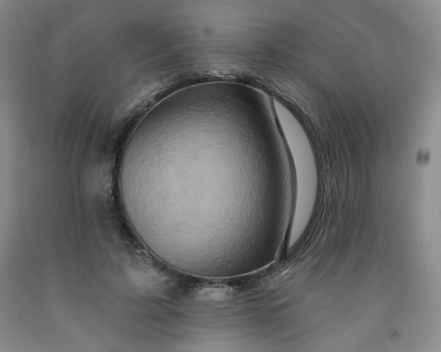 X0000091950595200709201324