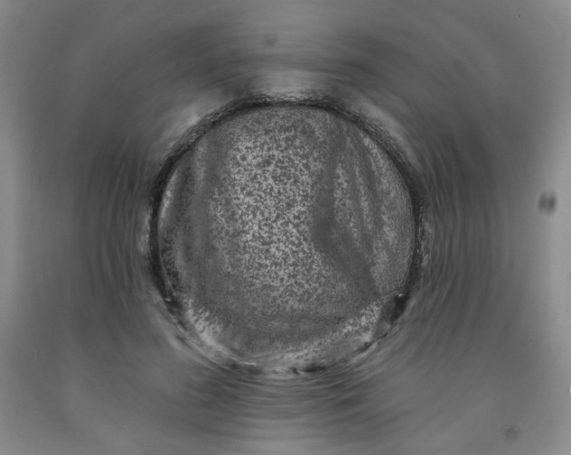 X0000091950596200709201324