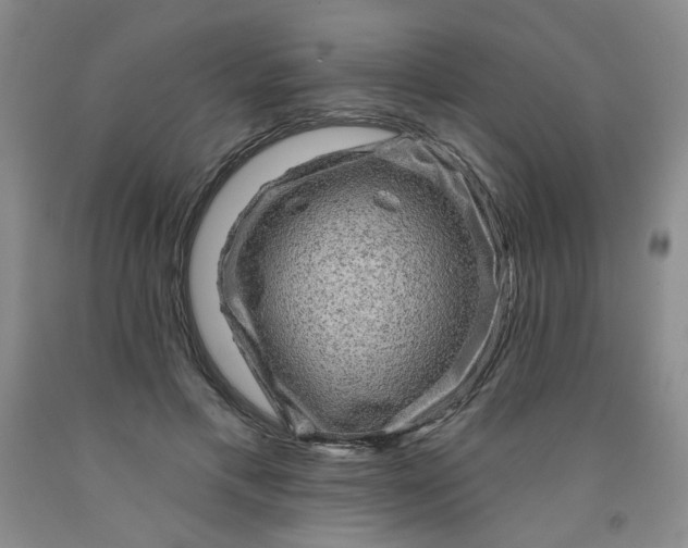 X0000091950597200709201324