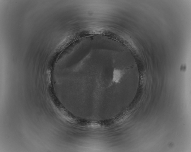 X0000091950598200709201324