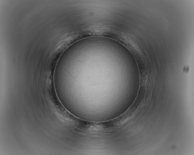 X0000091950599200709201324