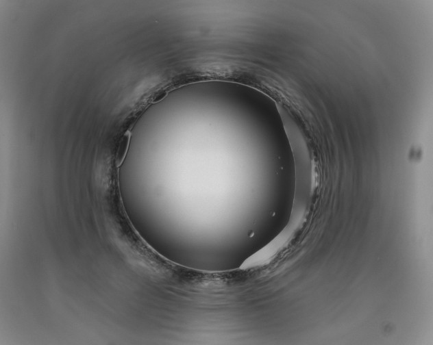 X0000091950600200709201324