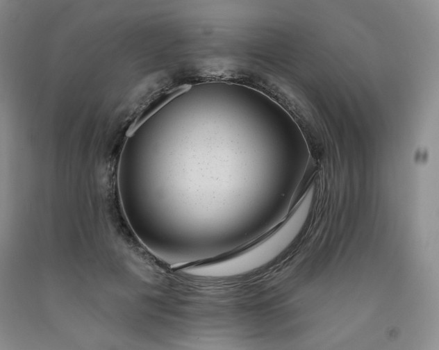 X0000091950601200709201324