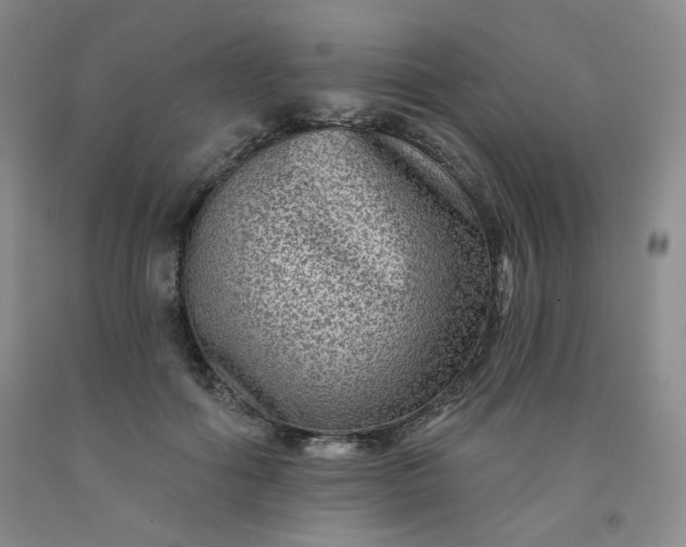 X0000091950602200709201324