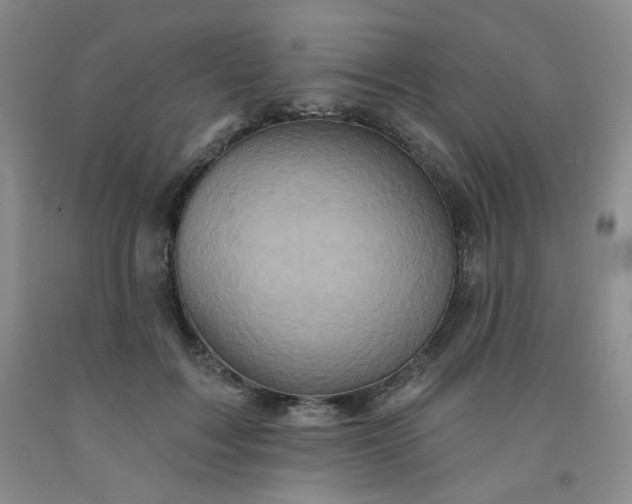 X0000091950603200709201324