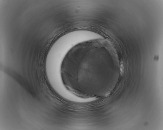 X0000091950604200709201324