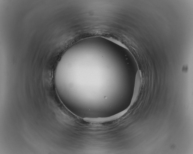 X0000091950605200709201324