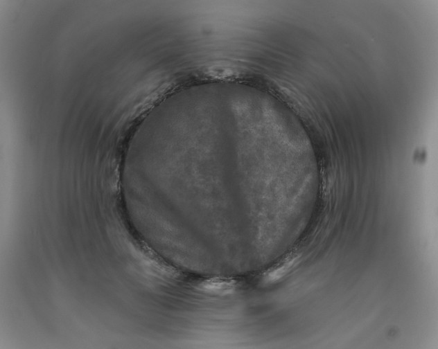 X0000091950606200709201324