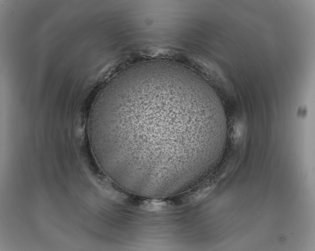 X0000091950607200709201324