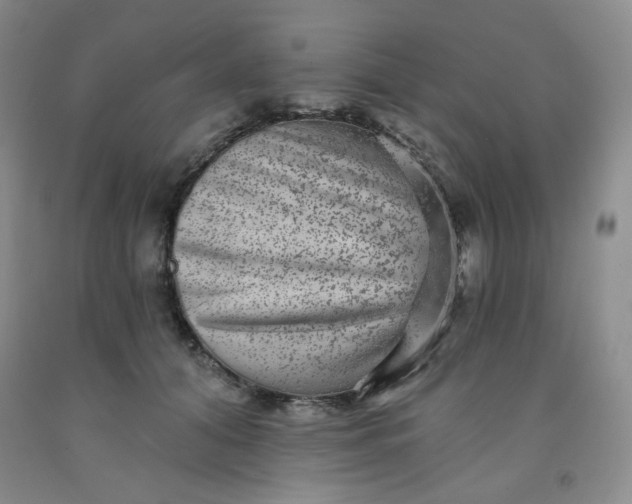 X0000091950608200709201324