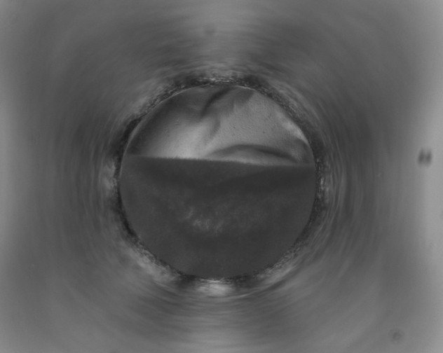 X0000091950610200709201324