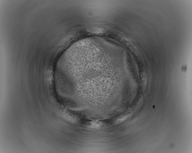 X0000091950612200709201324