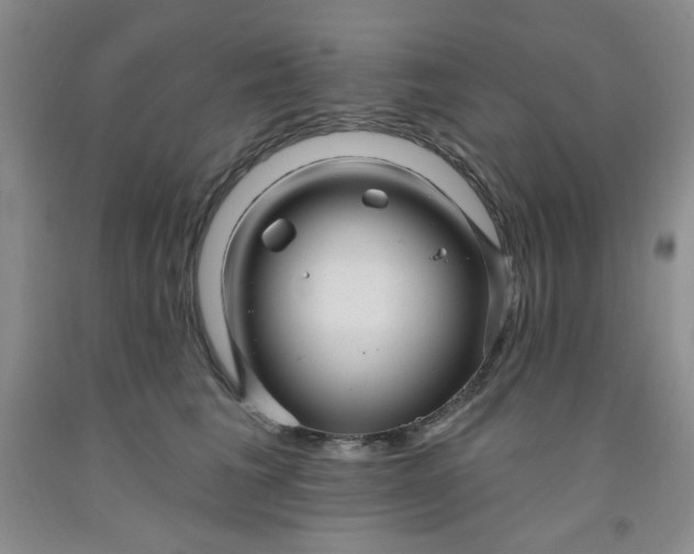 X0000091950613200709201324