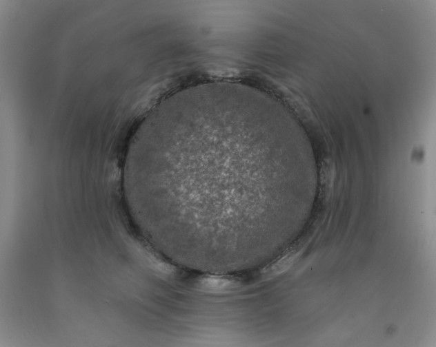 X0000091950614200709201324