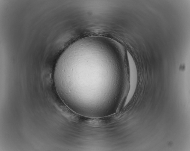 X0000091950615200709201324